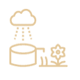 Rainwater Harvesting